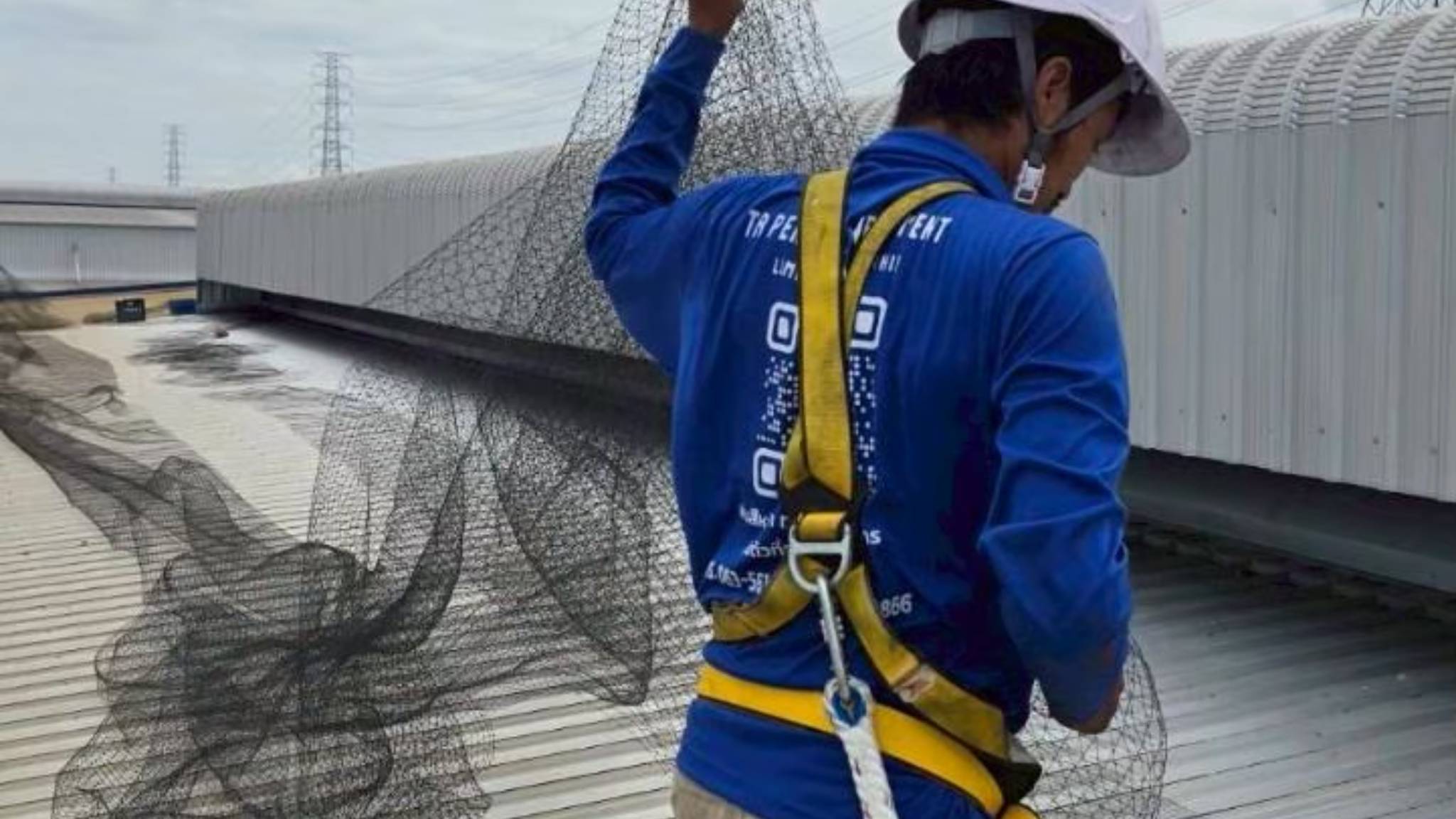 New Project (15).jpg